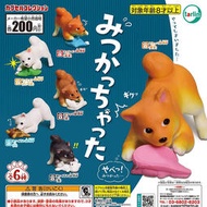 現貨全6種日本正版轉蛋epoch搞破壞被發現的柴犬趣味狗狗擺件玩具 k2617