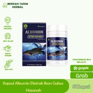 kapsul ikan gabus albumin premium original