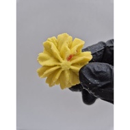 [Biscuit Timbang] Butter Rose Cookies 100g/200g/500g/1kg Halal Butter Cookies