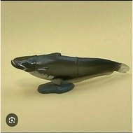 Kaiyodo furuta choco egg lake biwa Goldfish