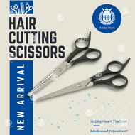 ชุดกรรไกรตัดผม (กรรไกรสแตนเลส ด้ามพลาสติก ABS)  Hair Cutting Scissors