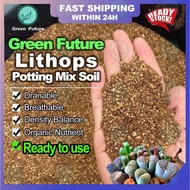 ➳【READY TO USE】 Lithops Soil Mix Potting Soil 生石花专用土 屁屁土 生石花配土 生石花 多肉屁屁 屁屁土  SUCCULENT Potting Mix 颗粒土 多肉懒人土 仙人掌懒人土 多肉仙专用❁