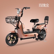 [3 Years Warranty] Electric Bicycle 500W Motor 48V20Ah Battery Electric Scooter / Basikal Elektrik /