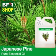 Pure Essential Oil (EO) - Pine - Japanese Pine Essential Oil - 5L