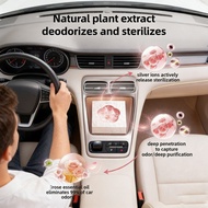 Car Fragrance & Car Air Freshener: Long-Lasting Delicate Scent, Odor Removal  1-1-12