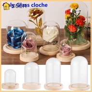 SUER Glass cloche Home Decor Terrarium Tabletop Glass Vase Terrarium Jar Flower Storage box