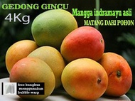 (COD) 4kg Mangga Manis Mangga Indramayu Mangga Asli Gedong Gincu
