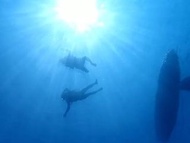 小琉球南島獨木舟-秘境浮潛尋海龜探索團(短距離)學生票