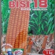 Bisi 18