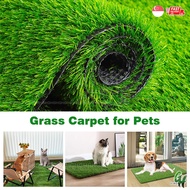Multipurpose Grass Carpet Cat Carpet Dog Carpet Indoor Carpet Entrance Mat Entrance Grass Carpet Cat