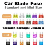 Car Fuse Car Fuse Plug Blade Fuse Automotive 40A Small