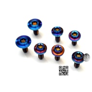 Titanium Ti M6xl15 Tc4 M6 Titanium Screw Interior Plum Spy Type Car