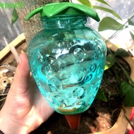 EPOCH Potted Watering Artifact, Transparent Plastic Succulent Plant Sprinkler, Creative Water Conser