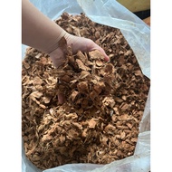 1kg of lump coconut shells, - RIGHT SEEDLINGS, coconut lumps, lumps of coconut shells size l (12~18m