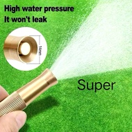 SA520 High Water Pressure Brass Water Spray