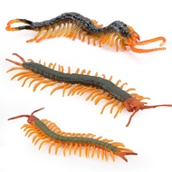Manufacturer Small Fake Centipede Mini Simulation Centipede Model Toy April Fool's Day Tricky Scary Static Model Ornaments Educational Enlight