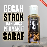 Sacha Inchi Oil Dr Noordin Darus, Minyak Sacha Inchi Original, Minyak Sacha