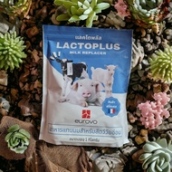 อาหารแทนนมสำหรับสัตว์วัยอ่อน โค แพะ แกะ สุกร Lactoplus แลคโตพลัส