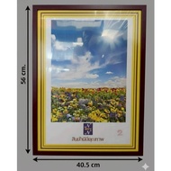 Maroon Photo Frame 56x40 cm. 56x40 Cm.maroon (Add Color To Memory With A Mini-Mo Design