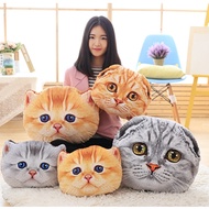 Cute Cat Doll Pillow Looks Like Real