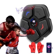 FINCOME Music Boxing Machine with Boxing Gloves, Smart Bluetooth Music Boxing Trainer, Wall Mounted 