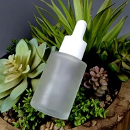 Glass Pipette Bottle 30 ML Frosted Flat Shouldernatural Serum Bottle/ 30 ML Pipette Bottle/ 30 ML Gl