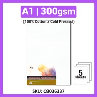 [Weststar TAS] A2  A1 Arto by Campap Watercolor Paper Watercolour Paper - Cold Pressed | Acid Free