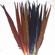 50-55cm Wild Chicken Feather Accessories Dyed Cocktail Feather Jingxi Feather Performance Costume He