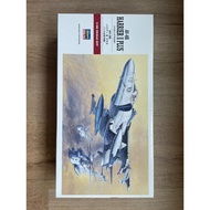 Harrier II Plus AV-8B Scale Hasegawa