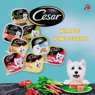 Cesar Dog Wet Food Mixable Flavours (24 Packs)