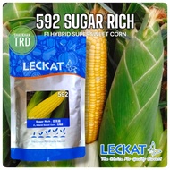 Paket 500g SUGAR RICH 592 Leckat Seeds Biji Benih Jagung Manis F1 Hybrid Sweet Corn Seeds Ready Stoc