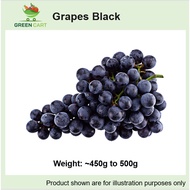 [Greencartsg] Fresh Fruits – Grapes Black