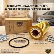 Oil Filter VW Golf GTI MK7 MK8 Passat B8 Tiguan Audi A4 B9 A5 A6 Q5 Porsche Macan EA888 Gen 3 (06L 1