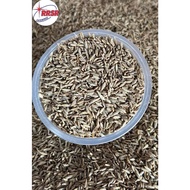JINTAN PUTIH/CUMIN SEED