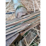 Arku kite 16 sticks 100/90