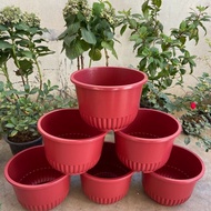 FAMILIFE 6pcs (Half Dozen) 11" x7" Big Colored Round Pots Durable Plastic Flower and Vegetable Pots Indoor/Outdoor Home Garden Planters