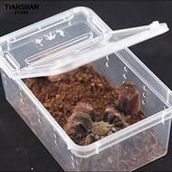 [tianshan] Transparent Plastic Amphibian Insect Reptile Breeding Box Transport Feeding Case