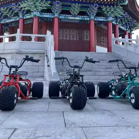 Latest Model Three-Wheel Kart Polished Aluminum Wheels Outdoor Drifting Capable Top Speed 60km/h Han
