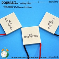 POPULAR Semiconductor Cooling Sheet, 40x40mm 15x30mm Refrigeration Plate, High Quality TES1-12704 30