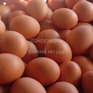 telur ayam negri 1 peti/15kg