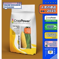 Gardens Benih Jagung Manis ASIA MANIS SS 932 Sweetcorn Seed  甜玉米种子 - CROP POWER (500 GRAM)