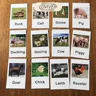 [Loviver] Animal Match Toy - Miniature Figurines with 2 Part Matching Farm Animals
