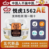 藍芽耳機 耳機 無線耳機  昇龍悅虎五代Pro2洛達1562AE空間音頻降噪通透華強北藍牙耳機
