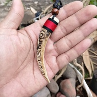 Tribal Resin Carved Fang Necklace