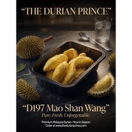 D197 Mao Shan Wang