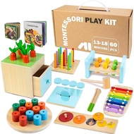 Wooden Montessori Toys for 1+ Year Old, 9 in 1 Learning Educational Toys