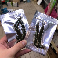 Makanan Arowana/Sugar Glider~Centipede~Scorpion Makanan Lipan Untuk Arowana