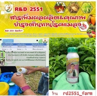 (แถม 1 ขวด) 6 ขวด * โปรตีนอะมิโน RD2551 บำรุงพืช สารเสริมเพิ่มผลผลิต ปลอดภัยไร้เคมี