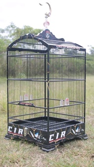 sangkar burung kosan ceper ambrukan
