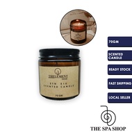 Scented Candle 100% Soy Wax / ETN E10 Hand Poured Scented Candle/ Aromatherapy Scented Candle Ready 